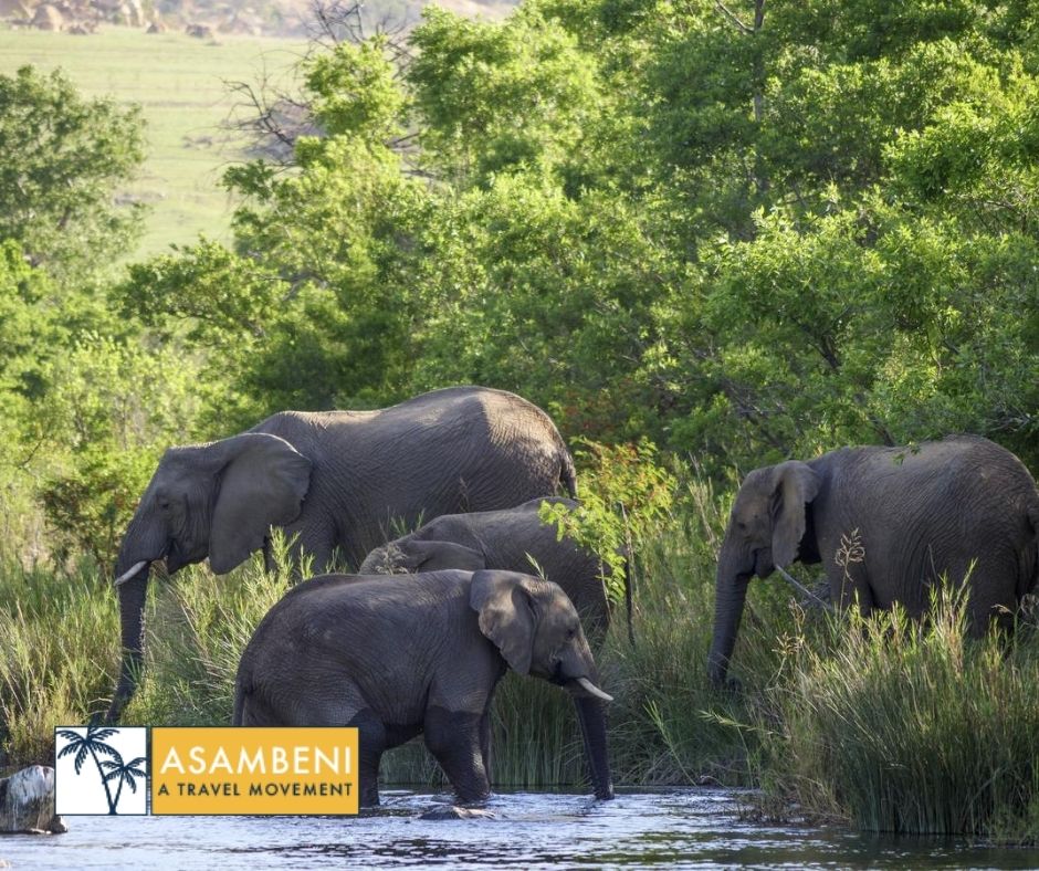 Nkomazi Game Reserve (Emanzana) - Accommodation images