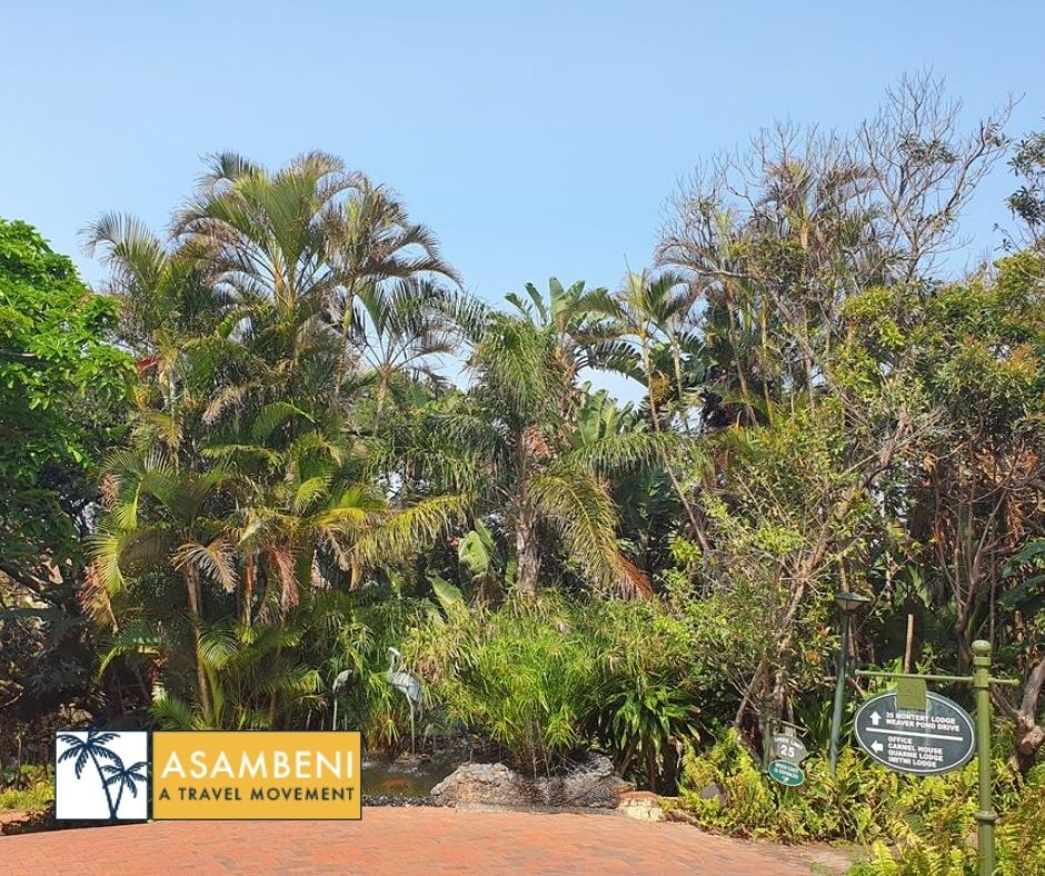 Zimbali Beach Estate - Accommodation images