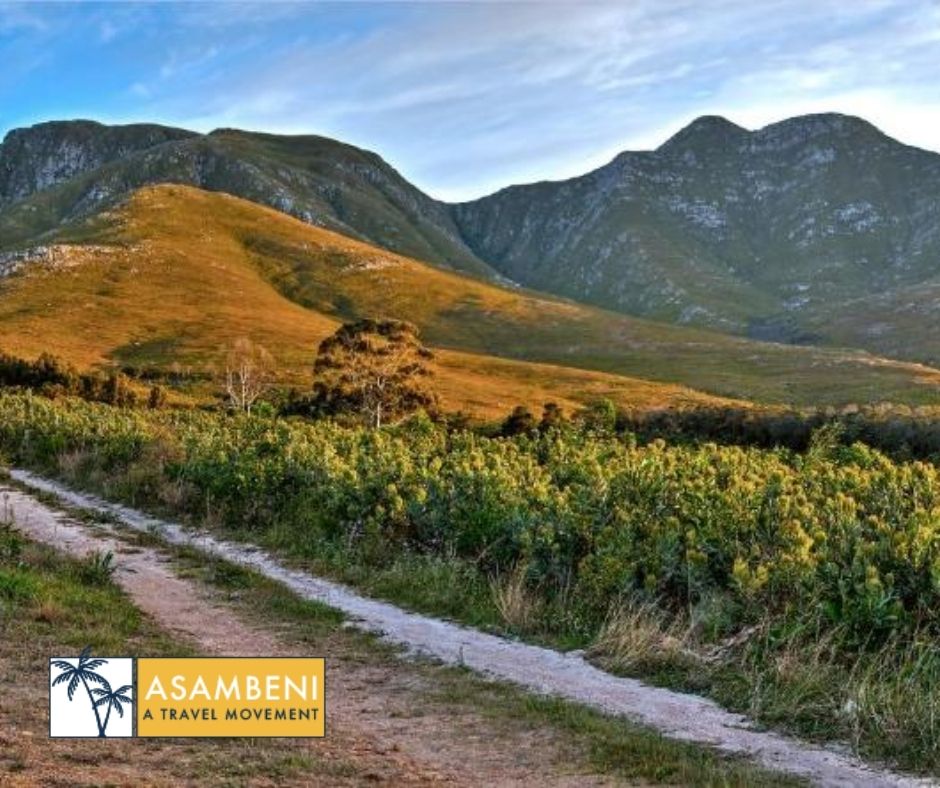 AfriCamps at Stanford Hills - Accommodation images