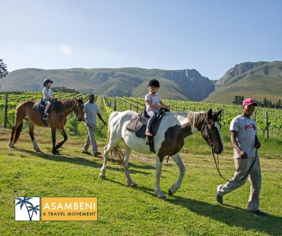 AfriCamps at Stanford Hills - Accommodation images
