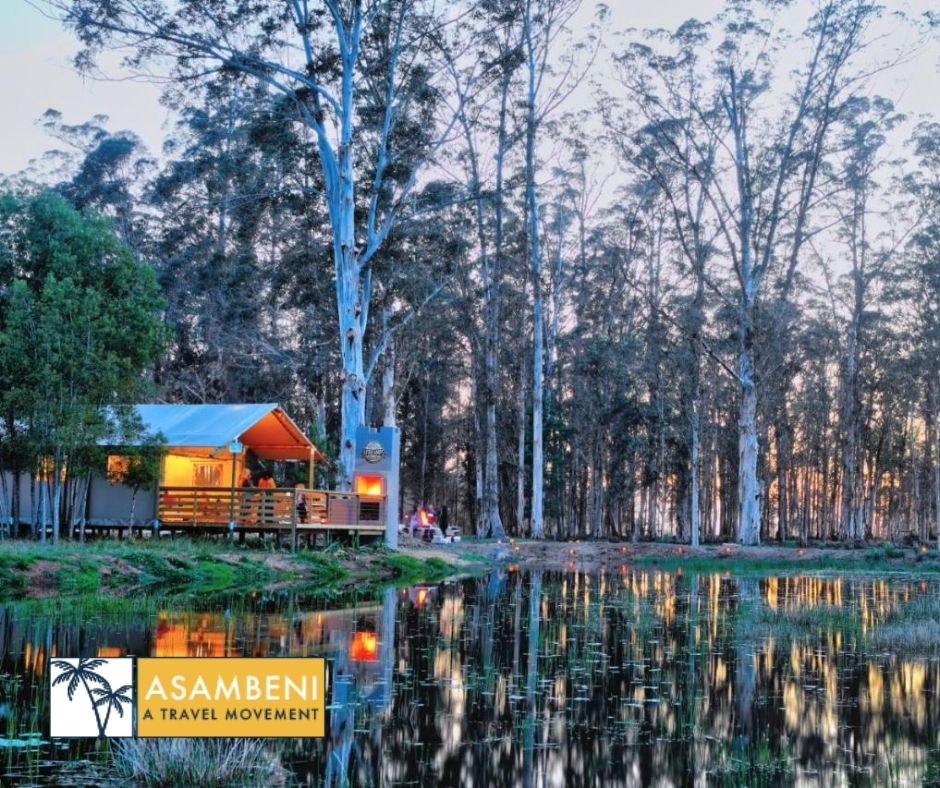 AfriCamps at Oakhurst (Wilderness) - Accommodation images