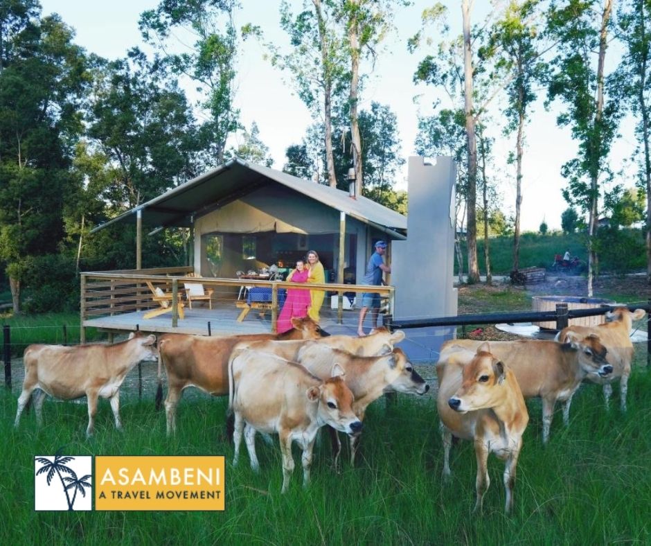 AfriCamps at Oakhurst (Wilderness) - Accommodation images