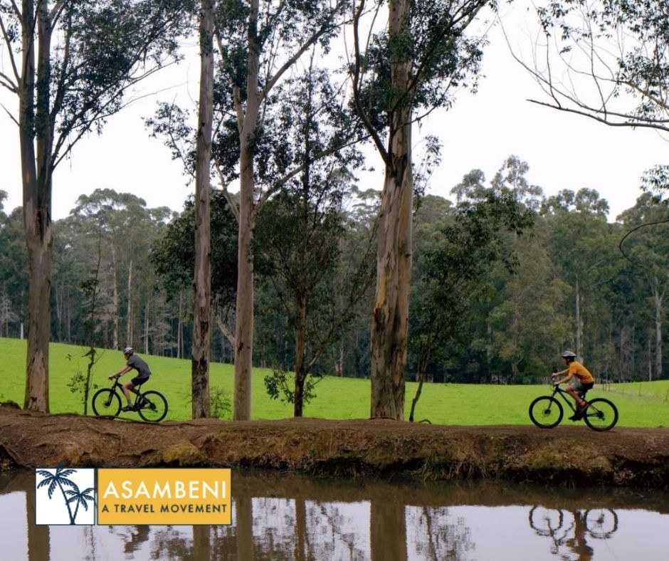 AfriCamps at Oakhurst (Wilderness) - Accommodation images