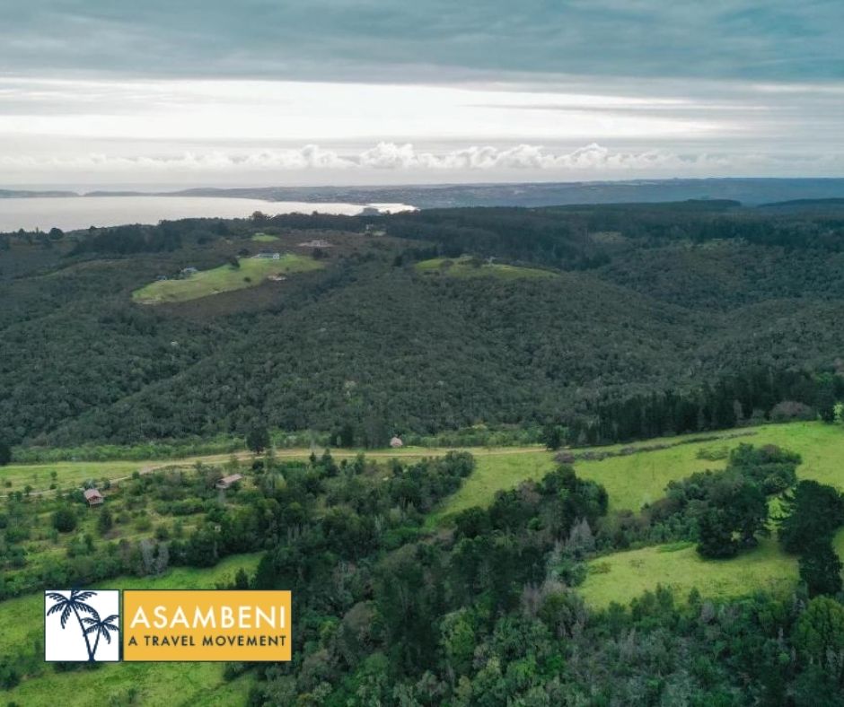 AfriCamps at Ingwe (Plettenberg Bay) - Accommodation images