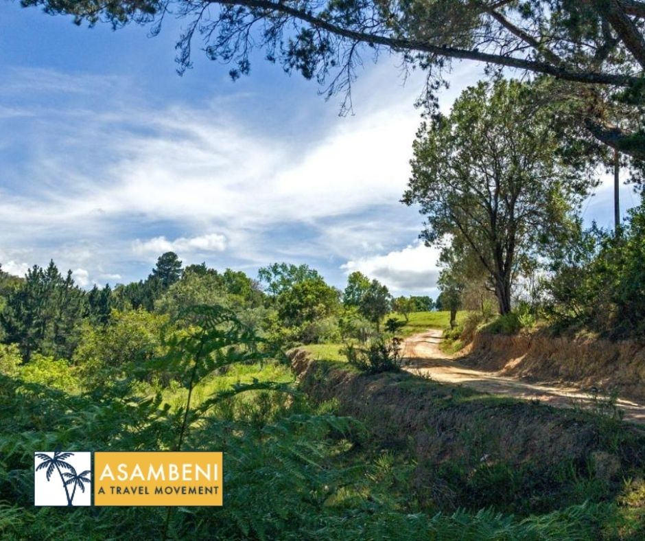AfriCamps at Ingwe (Plettenberg Bay) - Accommodation images