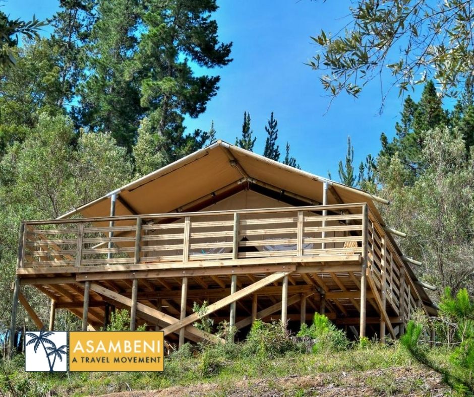AfriCamps at Ingwe (Plettenberg Bay) - Accommodation images
