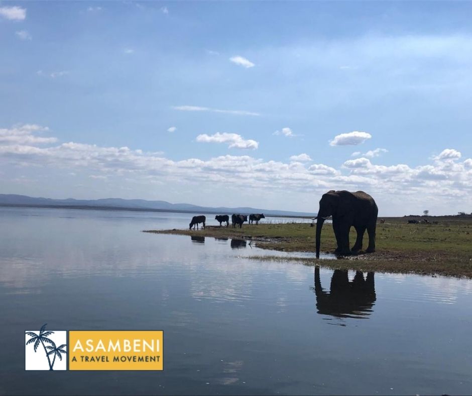 AfriCamps at White Elephant Safaris (Pongola) - Accommodation images