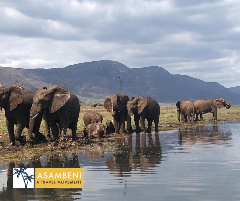 AfriCamps at White Elephant Safaris (Pongola) - Accommodation images