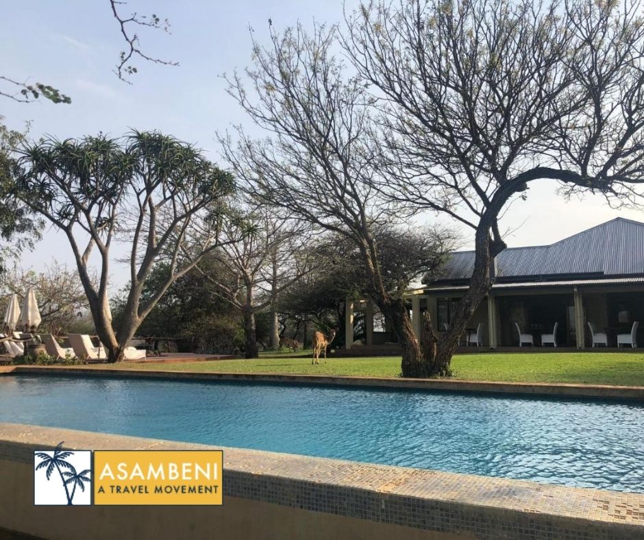 AfriCamps at White Elephant Safaris (Pongola) - Accommodation images