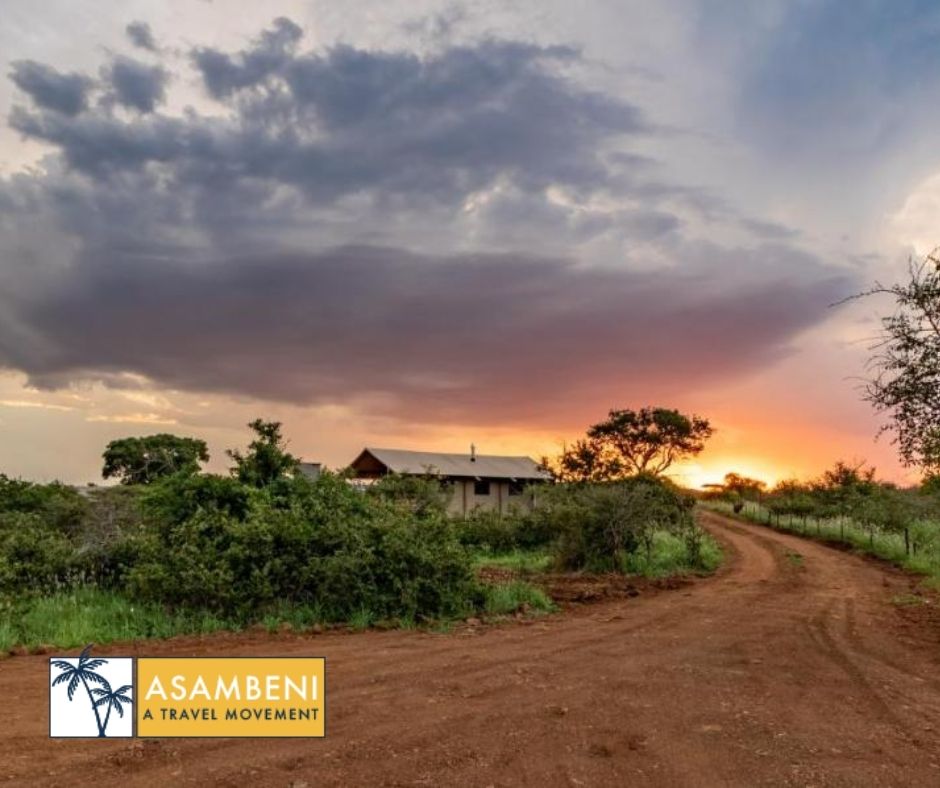 AfriCamps at White Elephant Safaris (Pongola) - Accommodation images