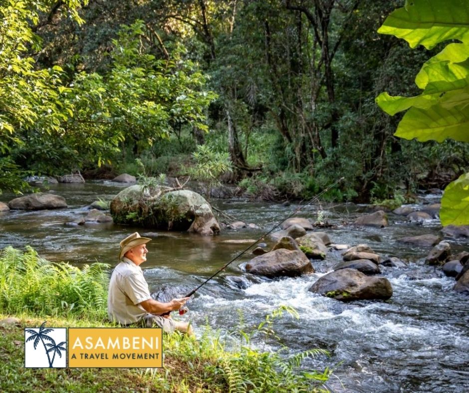 AfriCamps at Mackers (Hazyview) - Accommodation images