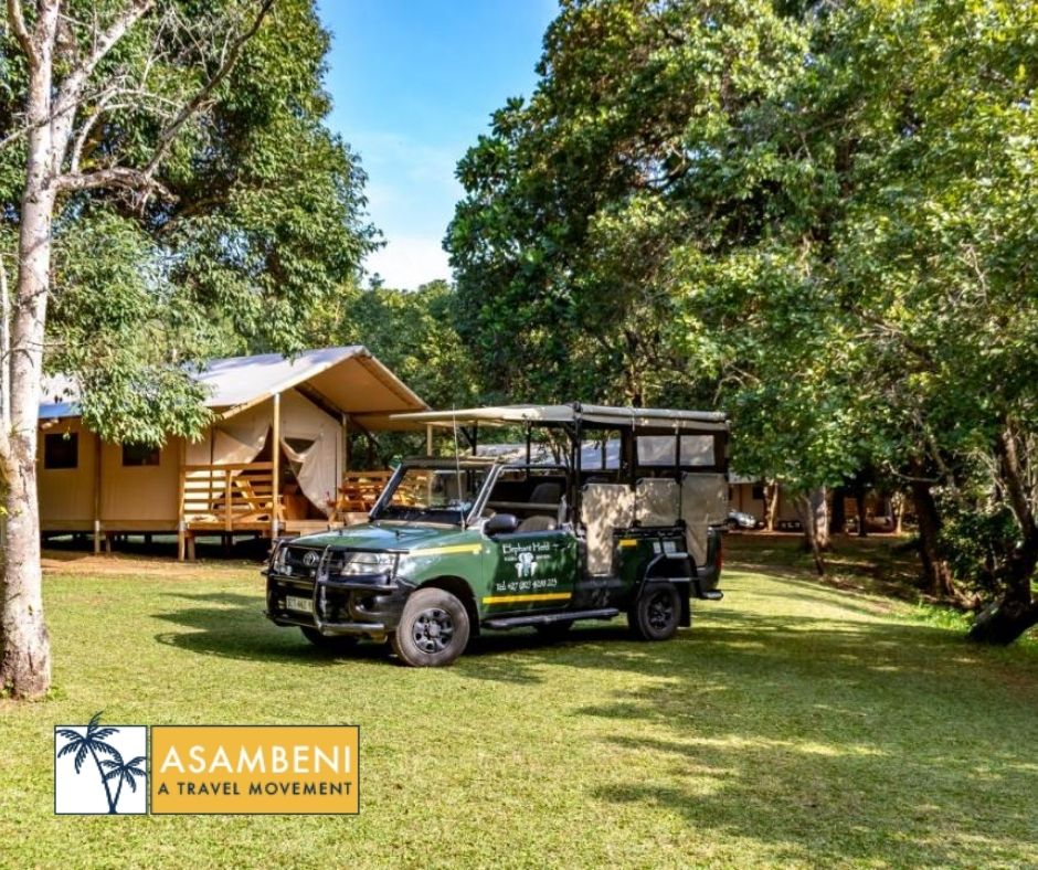 AfriCamps at Mackers (Hazyview) - Accommodation images