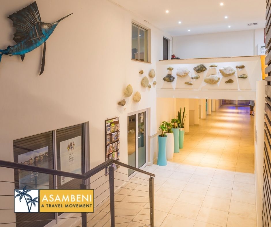 Blue Marlin Hotel (Scottburgh) - Accommodation images