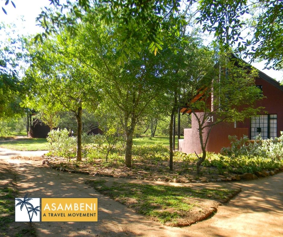 Burchell's Bush Lodge (Sabiepark) - Accommodation images