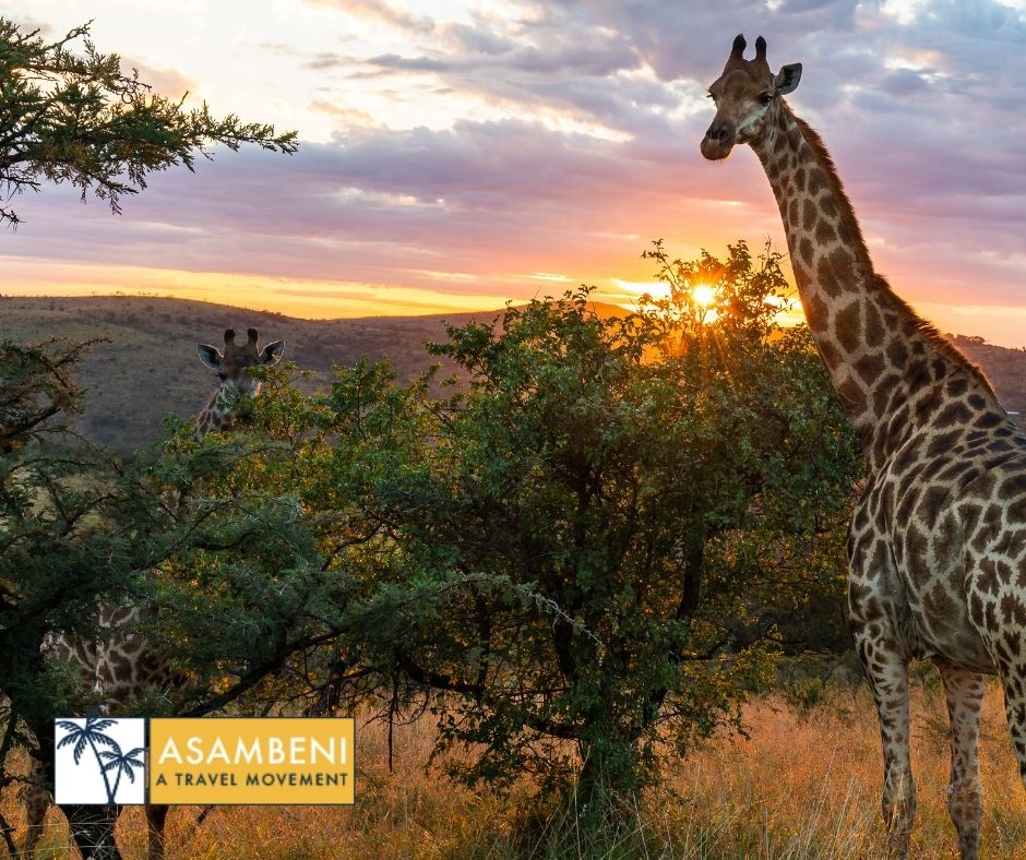 Finfoot Lake Reserve (Rustenburg) - Accommodation images