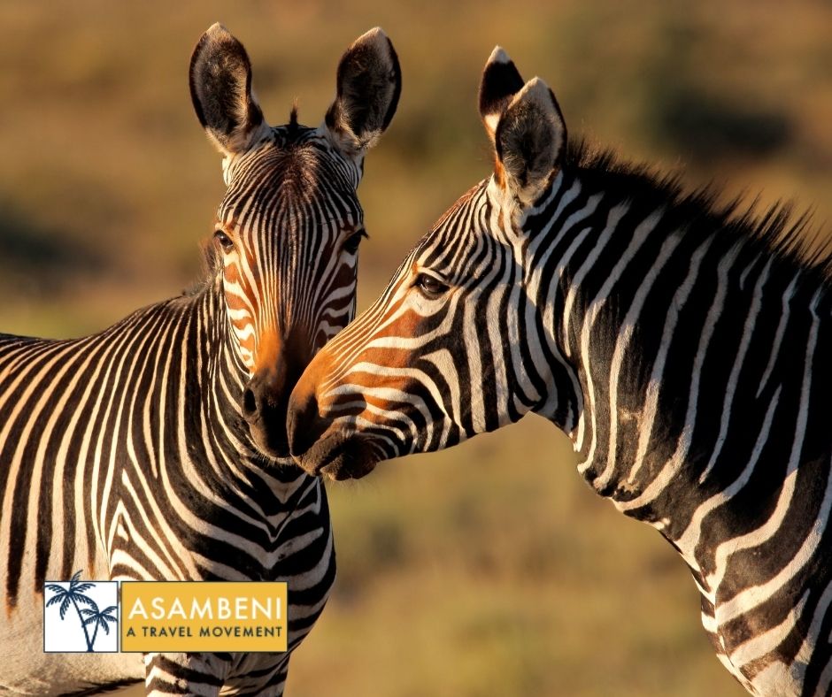 Finfoot Lake Reserve (Rustenburg) - Accommodation images