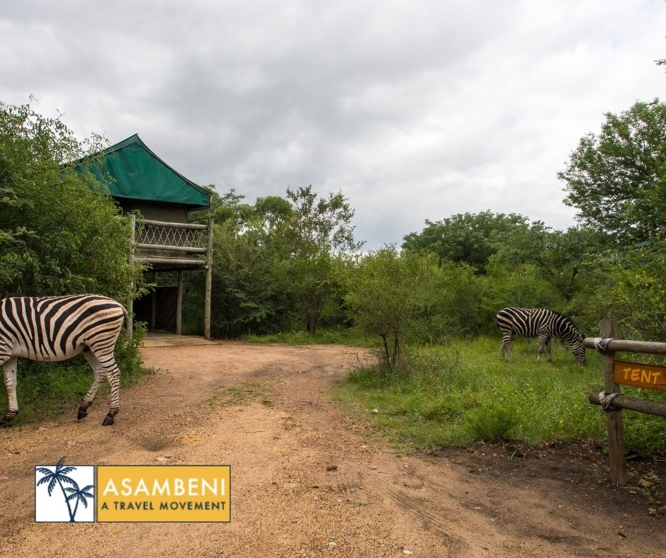 Jackalberry Ridge (Marloth Park) - Accommodation images