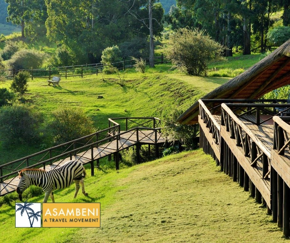 Little Switzerland Resort (Bergville) - Accommodation images