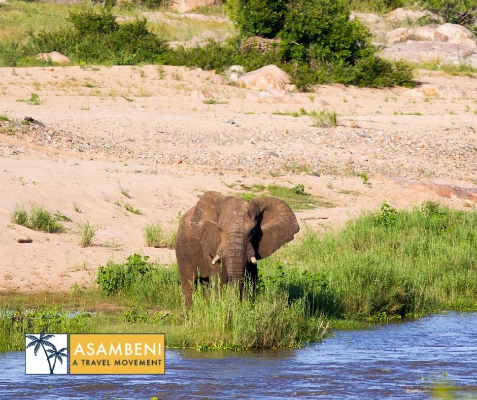 Mjejane Bush Camp (Hectorspruit) - Accommodation images