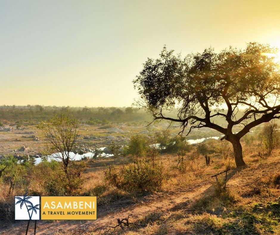Mjejane Bush Camp (Hectorspruit) - Accommodation images