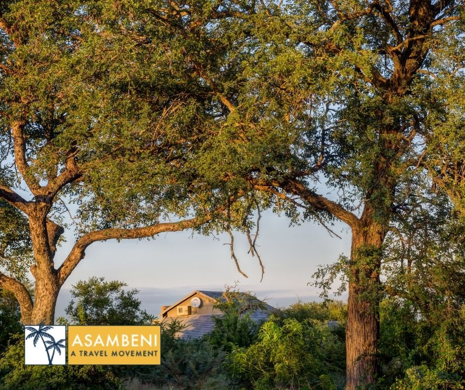 Mjejane Bush Camp (Hectorspruit) - Accommodation images