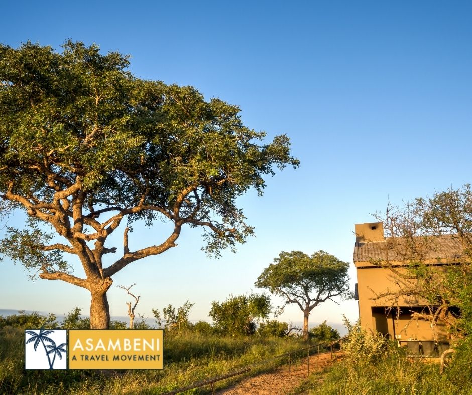 Mjejane Bush Camp (Hectorspruit) - Accommodation images