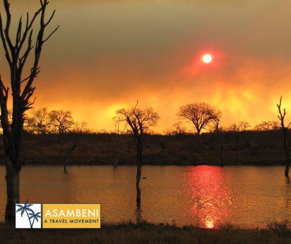 Mjejane Bush Camp (Hectorspruit) - Accommodation images