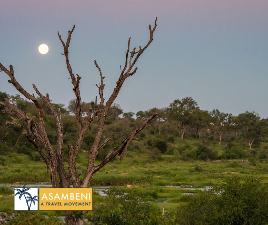 Mjejane Bush Camp (Hectorspruit) - Accommodation images