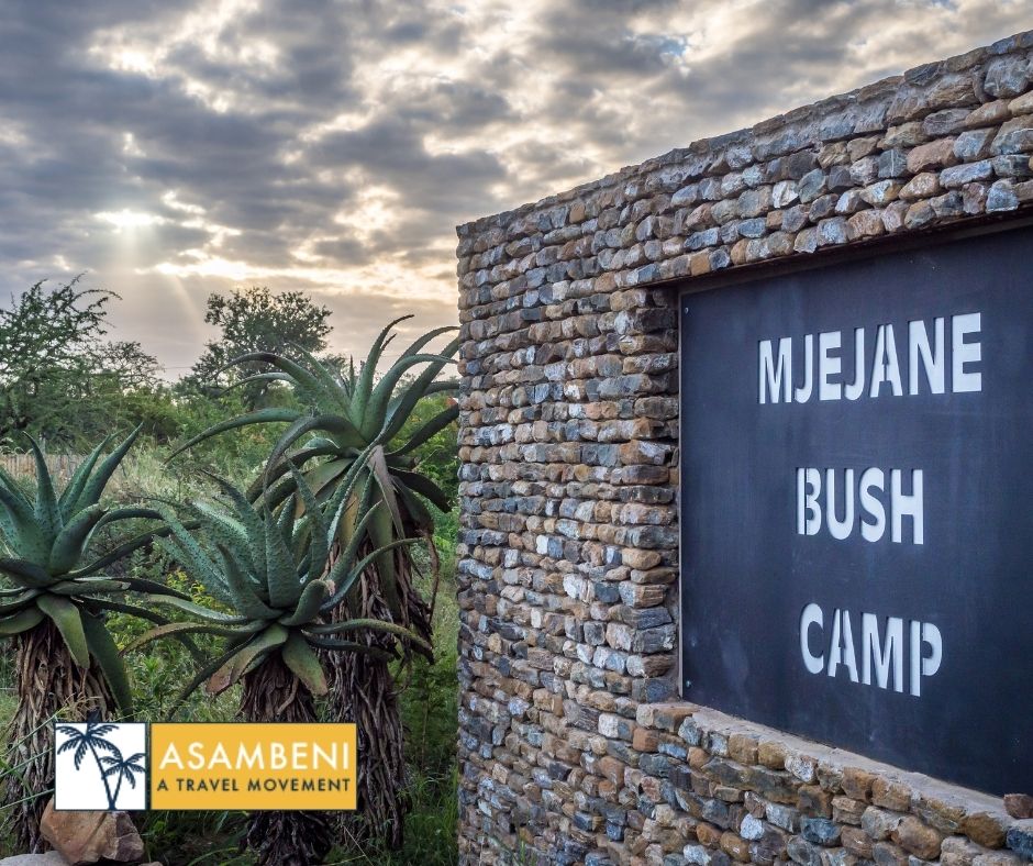 Mjejane Bush Camp (Hectorspruit) - Accommodation images