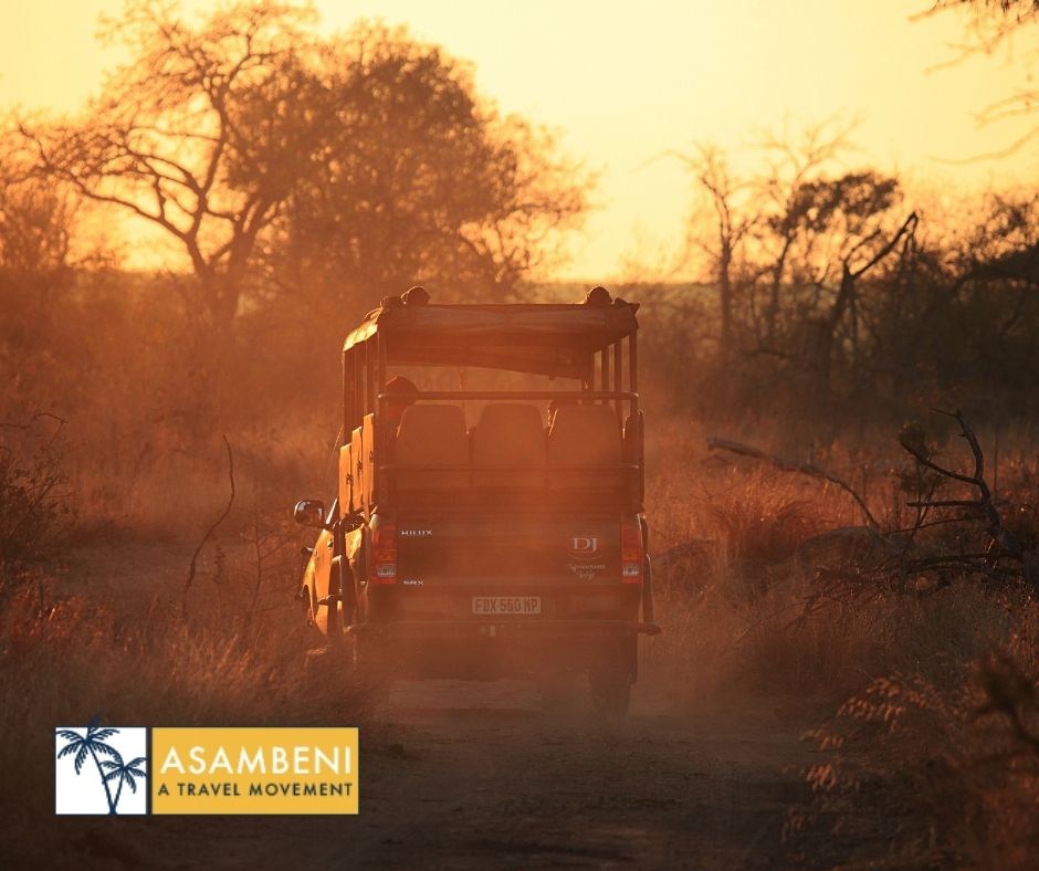 Mjejane Bush Camp (Hectorspruit) - Accommodation images