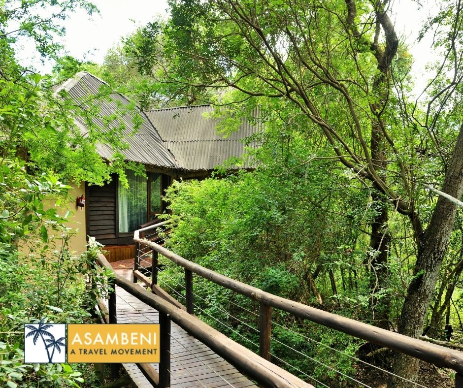 Nibela Lake Lodge (Hluhluwe) - Accommodation images