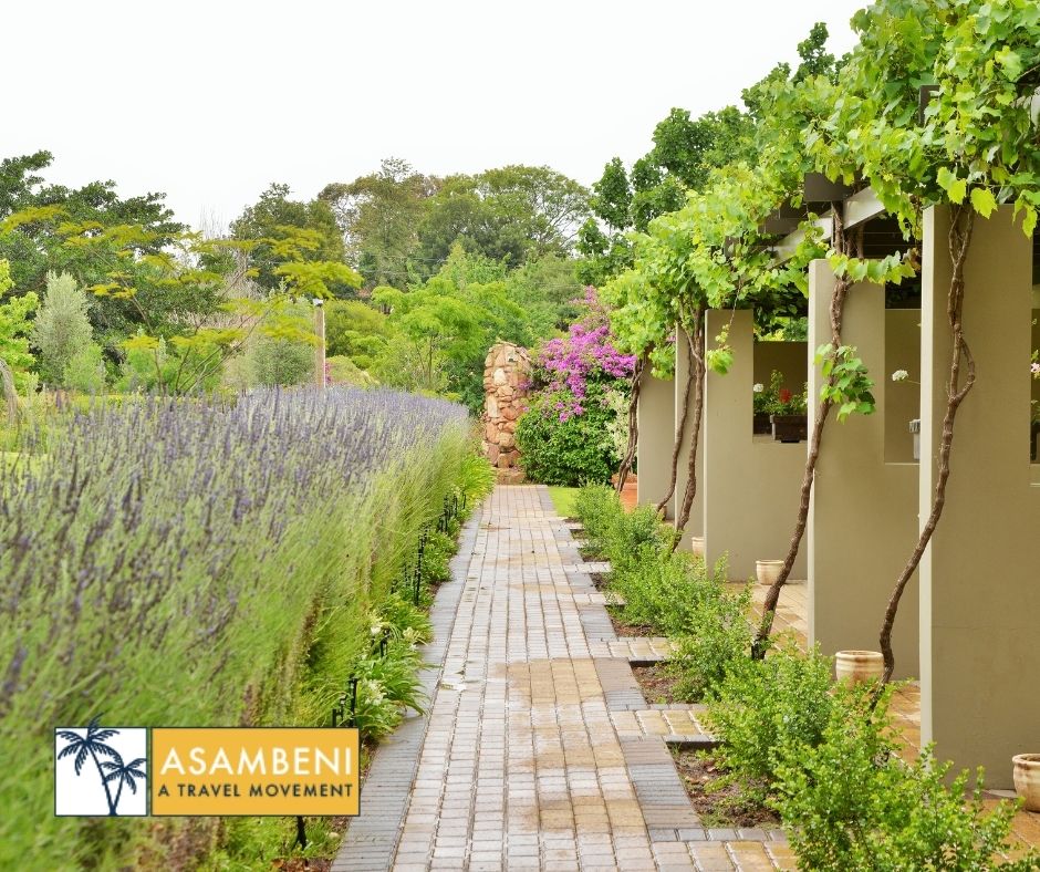 Piekenierskloof Mountain Resort (Citrusdal) - Accommodation images