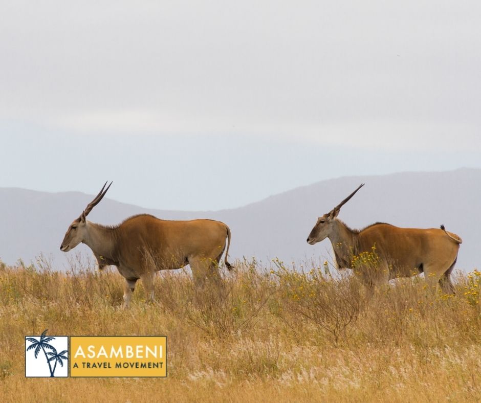 Stonehill River Lodge (Swellendam) - Accommodation images