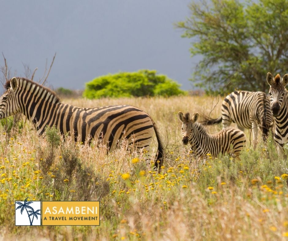Stonehill River Lodge (Swellendam) - Accommodation images