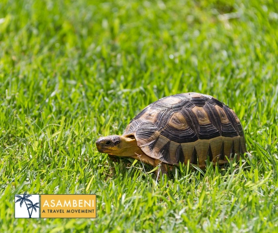 Stonehill River Lodge (Swellendam) - Accommodation images