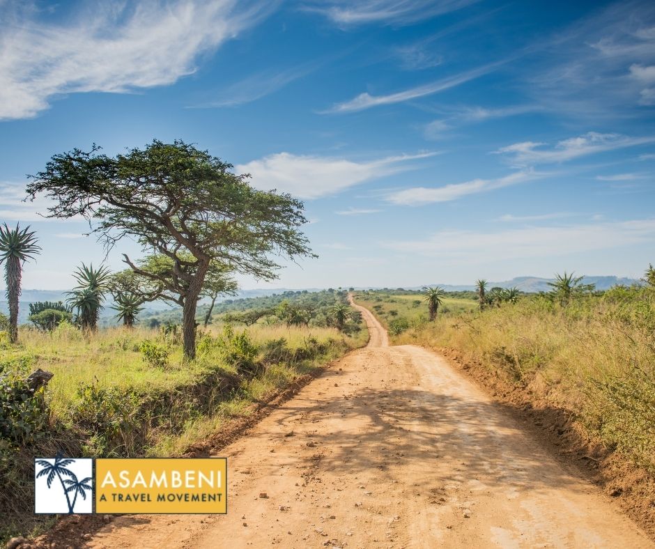 Tala Collection Private Game Reserve (Silverton) - Accommodation images
