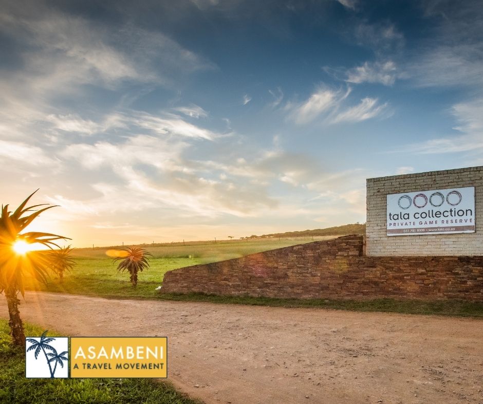 Tala Collection Private Game Reserve (Silverton) - Accommodation images