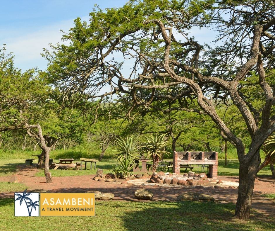 Tala Collection Private Game Reserve (Silverton) - Accommodation images