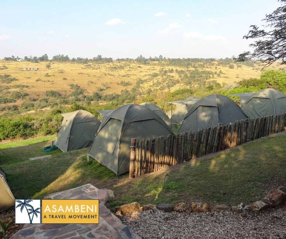 Tala Collection Private Game Reserve (Silverton) - Accommodation images