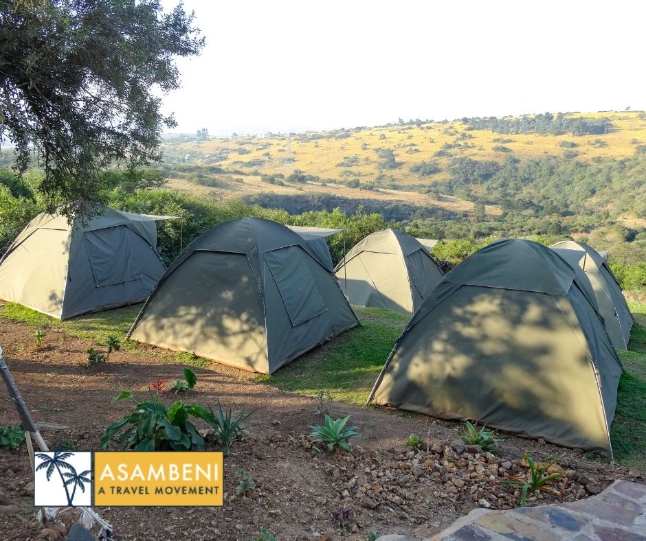 Tala Collection Private Game Reserve (Silverton) - Accommodation images