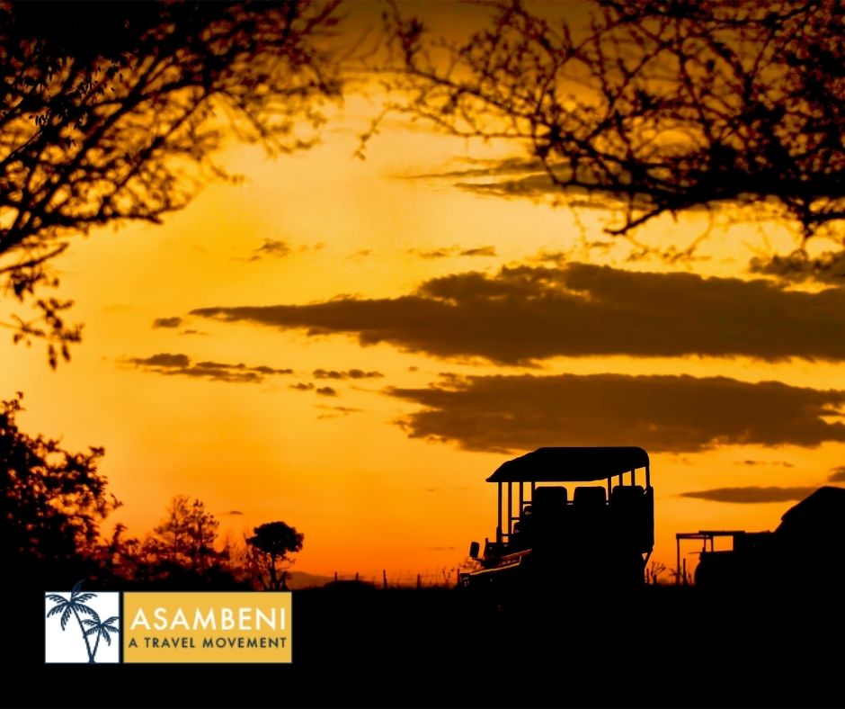 Tala Collection Private Game Reserve (Silverton) - Accommodation images
