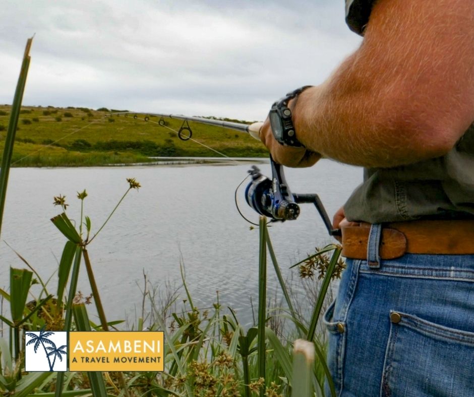 Tala Collection Private Game Reserve (Silverton) - Accommodation images
