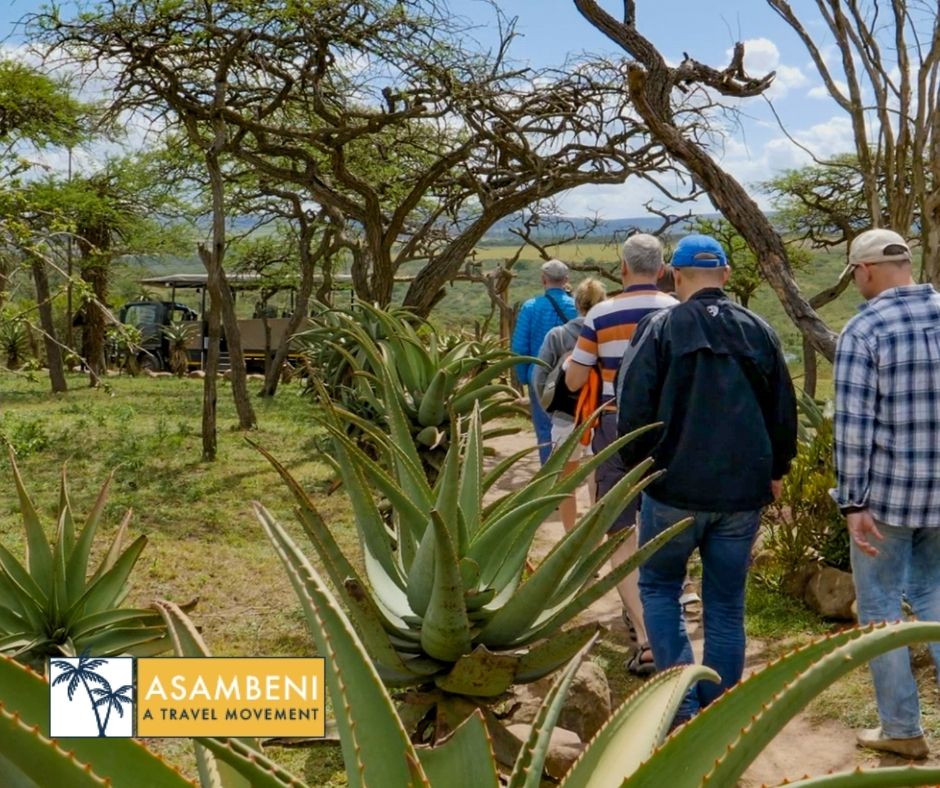 Tala Collection Private Game Reserve (Silverton) - Accommodation images