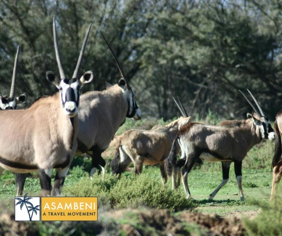 Kuganha Luxury Tents (Breede River) - Accommodation images