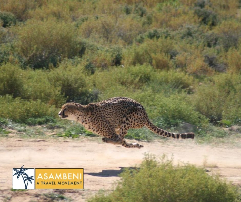 Kuganha Luxury Tents (Breede River) - Accommodation images