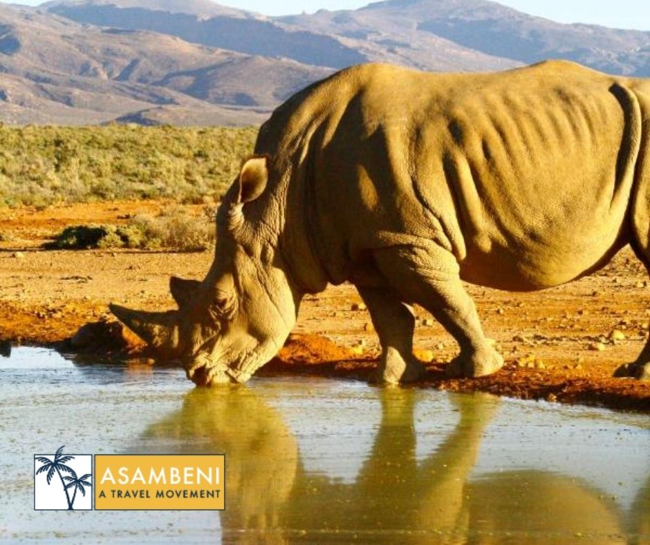 Kuganha Luxury Tents (Breede River) - Accommodation images