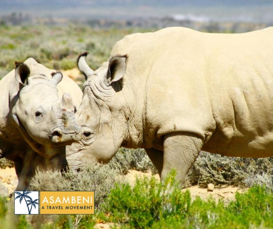 Kuganha Luxury Tents (Breede River) - Accommodation images