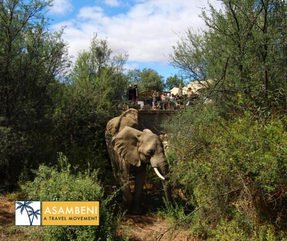 Kuganha Luxury Tents (Breede River) - Accommodation images