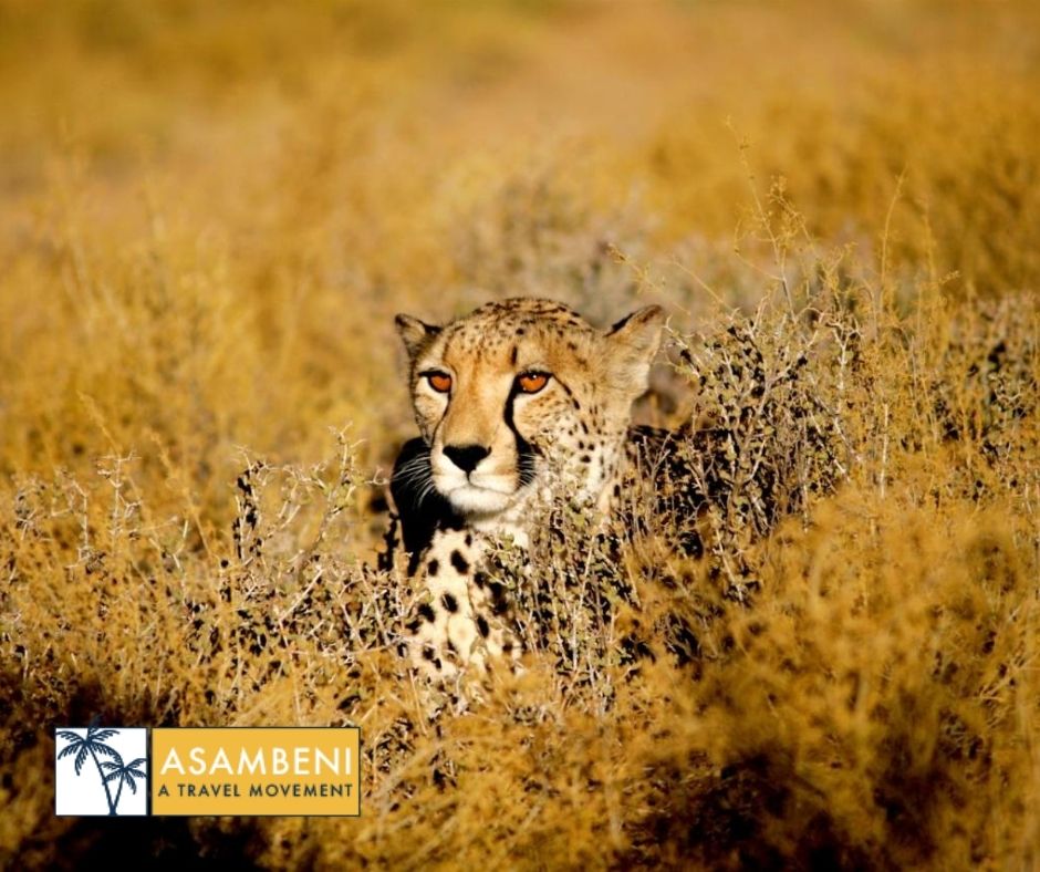 Kuganha Luxury Tents (Breede River) - Accommodation images