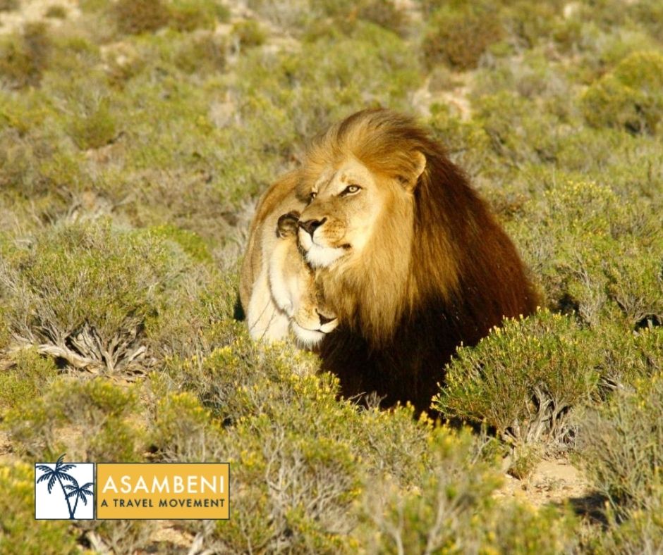 Kuganha Luxury Tents (Breede River) - Accommodation images